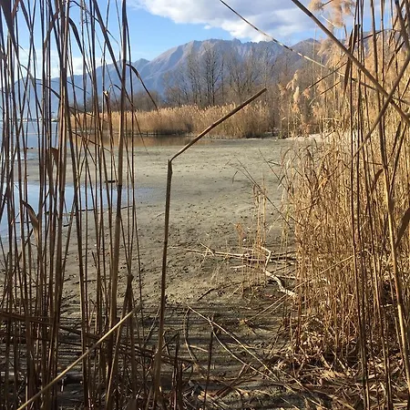 Apartment Irene - Casa Centro *