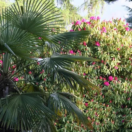 Irene - Casa Centro *