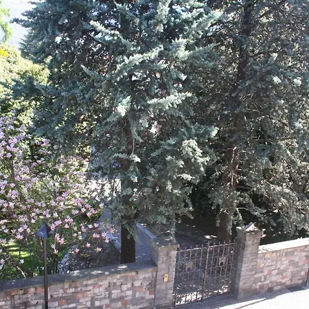 Apartment Irene - Casa Centro Ascona