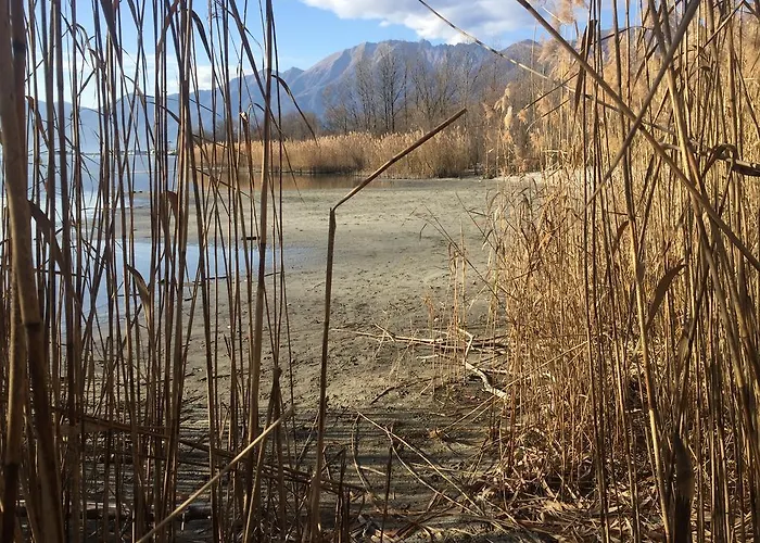 Apartamento Irene - Casa Centro *