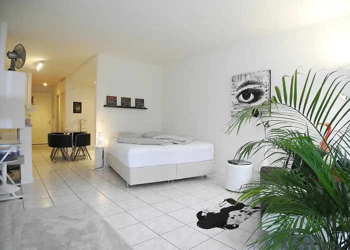 Apartamento Irene - Casa Centro Ascona