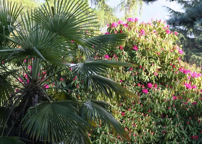 Irene - Casa Centro *