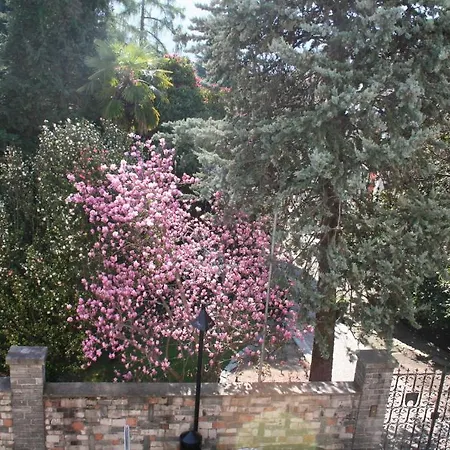 Irene - Casa Centro 阿斯科纳